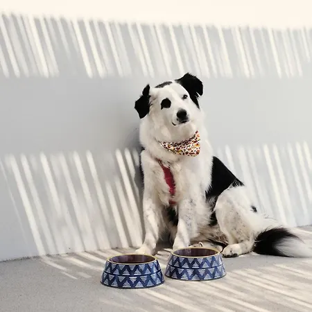 Mosaic Villas, Paros Isterni (Paros)