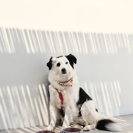 Mosaic Villas, Paros Villa