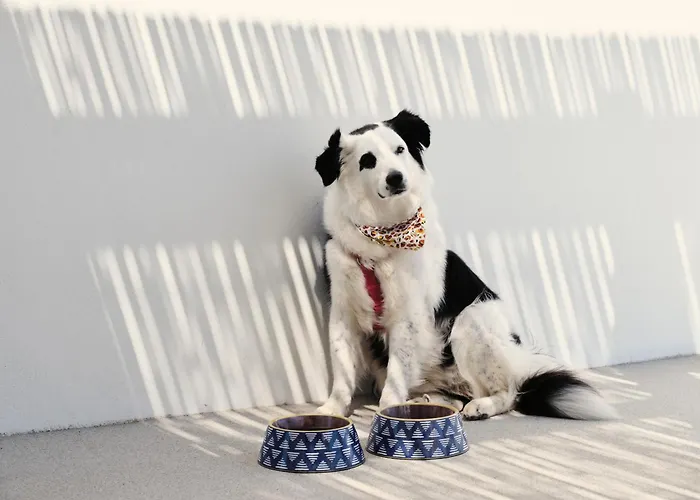 Mosaic Villas, Paros Isterni (Paros)