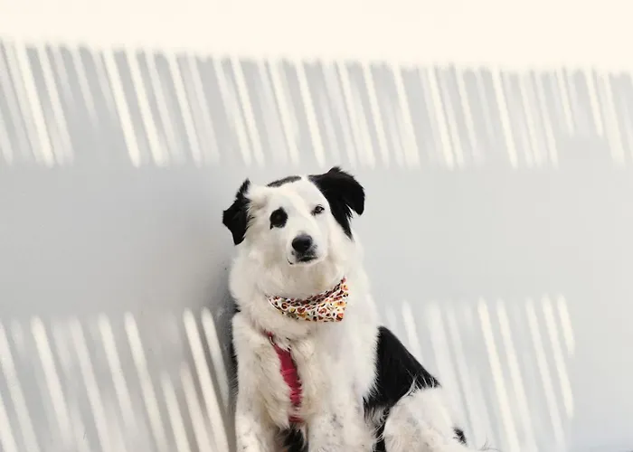 Mosaic Villas, Paros Villa